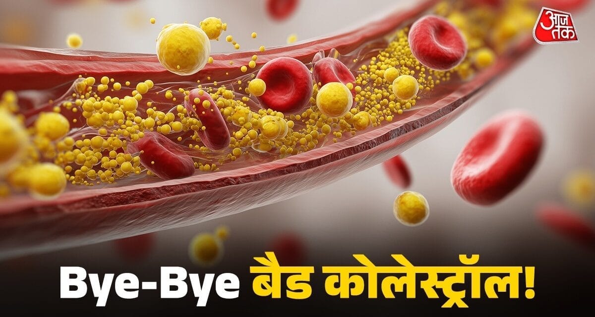 बैड कोलेस्ट्रॉल पर सीधा वार करते हैं ये 6 फूड्स, हार्ट डॉक्टर ने गिनाए नाम