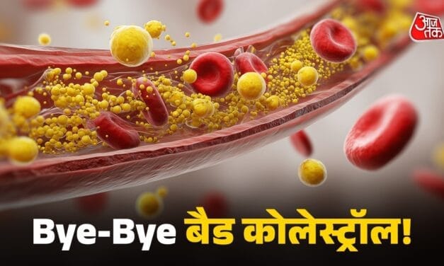 बैड कोलेस्ट्रॉल पर सीधा वार करते हैं ये 6 फूड्स, हार्ट डॉक्टर ने गिनाए नाम