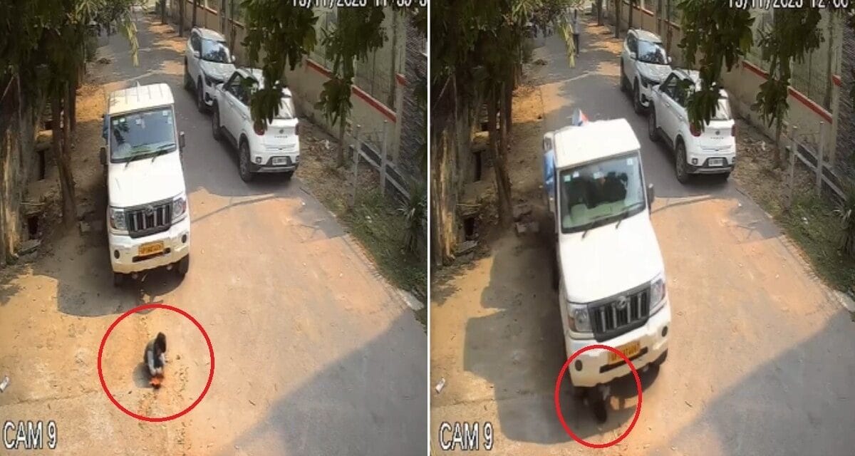 ग्रेटर नोएडा: फोन पर बात करते ड्राइवर ने पिकअप से मासूम को कुचला, वीडियो वायरल