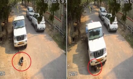 ग्रेटर नोएडा: फोन पर बात करते ड्राइवर ने पिकअप से मासूम को कुचला, वीडियो वायरल