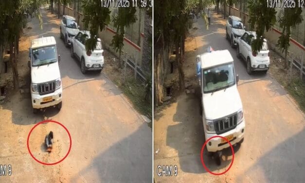 ग्रेटर नोएडा: फोन पर बात करते ड्राइवर ने पिकअप से मासूम को कुचला, वीडियो वायरल
