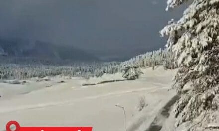 MP के 25 शहरों में तापमान 10°C से कम:यूपी में शिमला से ज्यादा सर्दी, पारा 4.5°C पहुंचा; दिल्ली में 500 फ्लाइट लेट, 14 कैंसिल