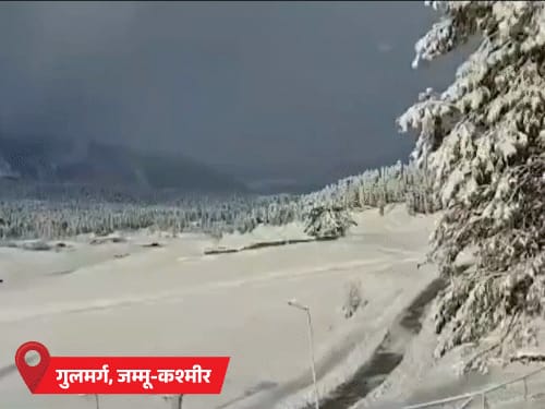 MP के 25 शहरों में तापमान 10°C से कम:यूपी में शिमला से ज्यादा सर्दी, पारा 4.5°C पहुंचा; दिल्ली में 500 फ्लाइट लेट, 14 कैंसिल