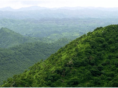 अरावली रेंज में नए खनन पट्टे जारी करने पर रोक:केंद्र के सभी राज्यों को निर्देश; राजस्थान के 15 जिलों में फैली है पहाड़ी