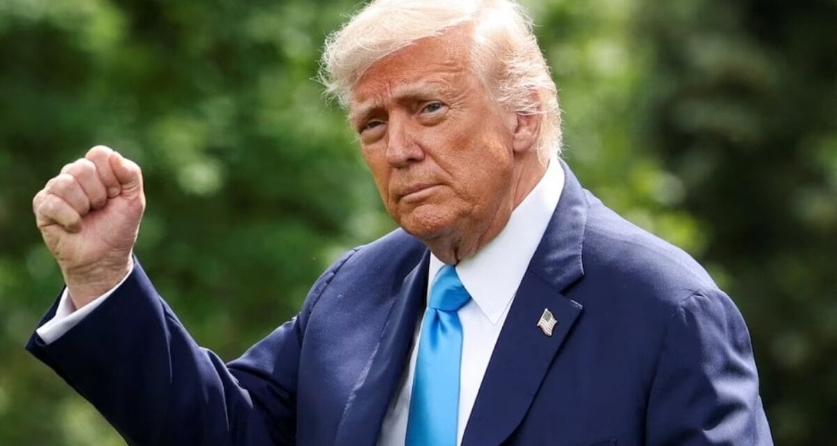 टैरिफ से US को इतनी कमाई… क्या हर अमेरिकी को $2000 का वादा पूरा करेंगे ट्रंप?