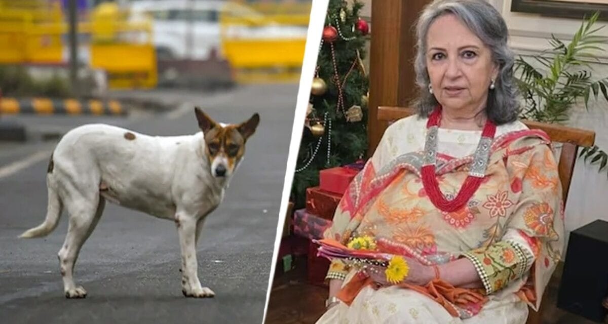 'हकीकत से कोसों दूर हैं आपके तर्क, अस्पताल में कुत्तों का गुणगान…', शर्मिला टैगोर पर भड़का SC