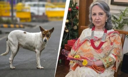 'हकीकत से कोसों दूर हैं आपके तर्क, अस्पताल में कुत्तों का गुणगान…', शर्मिला टैगोर पर भड़का SC
