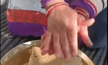 मकर संक्रांति पर घुघुते की माला पहनेंगे बच्चे:गाना गाकर कोवो को बुलाएंगे; आज से ही मांगलिक कार्यों की होगी शुरुआत
