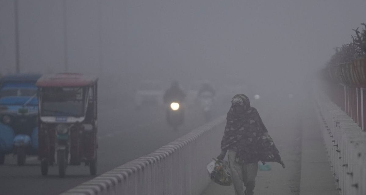 अभी और सताएगी सर्दी, IMD ने जारी किया कोल्ड वेव का अलर्ट, जानें कैसा रहेगा मौसम