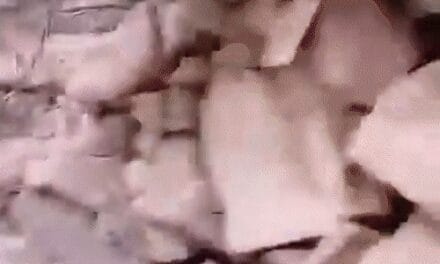 किश्तवाड़ में आतंकवादियों की तलाश तीसरे दिन भी जारी:आतंकी ठिकाना मिला, राशन-ताजी सब्जियां, अधपके अंडे मिले; सुरक्षाबलों का दावा
