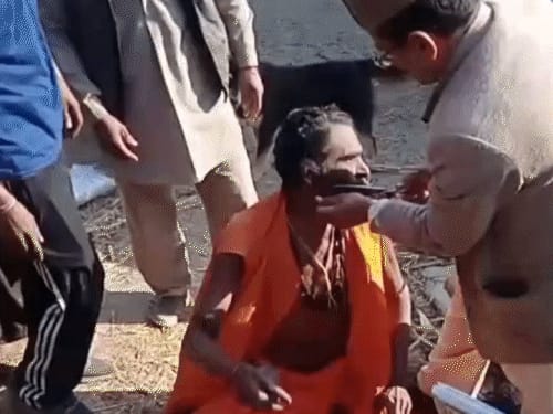 हिमाचल में उपप्रधान ने साधु की दाढ़ी-जटाएं काटी:VIDEO वायरल, 3 पर FIR, आरोपी बोला
