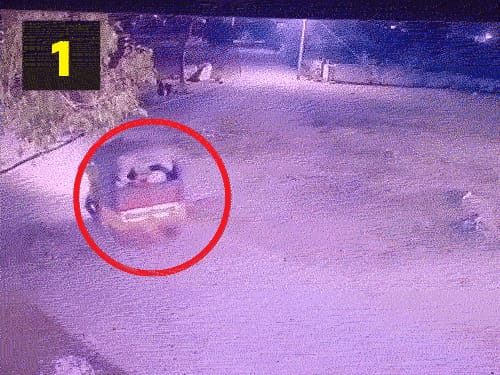 तेलंगाना में चलते ऑटो से 4 छात्राएं गिरीं:एक की मौत, ड्राइवर ने गाड़ी नहीं रोकी; बच्चियों से प्रिंसिपल के घर कुर्सियां ढुलवा रहा था