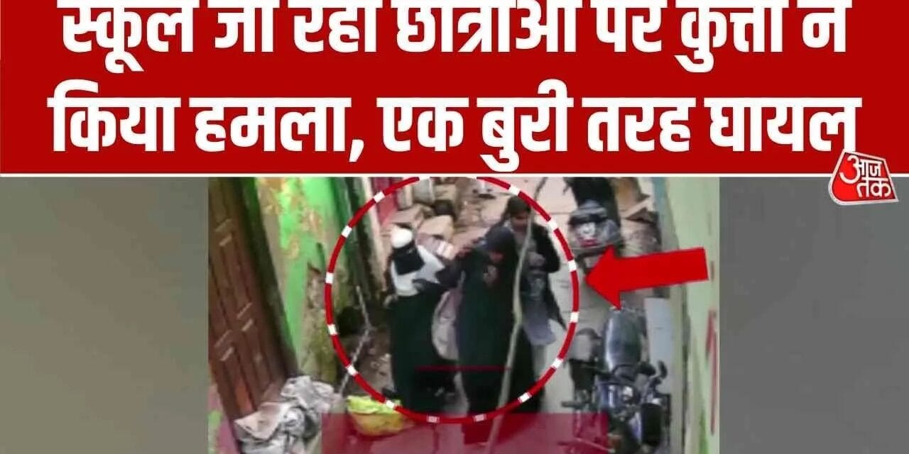 बिजनौर में आवारा कुत्तों का आतंक, छात्राओं पर किया हमला; Video