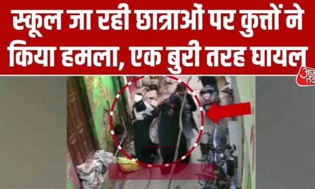 बिजनौर में आवारा कुत्तों का आतंक, छात्राओं पर किया हमला; Video