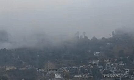 हिमाचल-बिहार में घना कोहरा, विजिबिलिटी 50 मीटर से कम रही:हरियाणा के 15 जिलों का पारा 10°C से नीचे; जम्मू-कश्मीर में बर्फबारी शुरू
