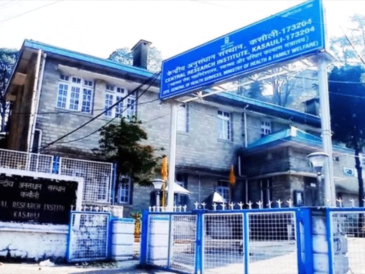 हिमाचल में केंद्रीय मंत्री नड्डा आज नई वैक्सीन लॉन्च करेंगे:CRI कसौली आएंगे, टीटनेस-डिफ़्थीरिया से सुरक्षा, यूनिवर्सल इम्यूनाइजेशन प्रोग्राम में उपलब्ध होंगे टीके