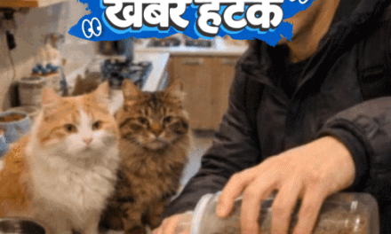 खबर हटके