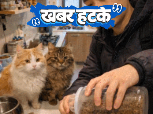 खबर हटके