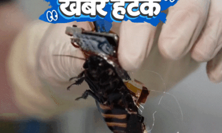 खबर हटके