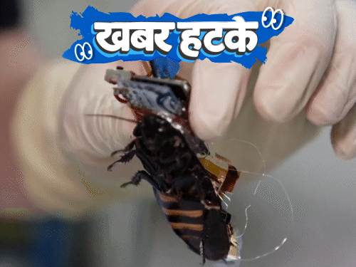खबर हटके