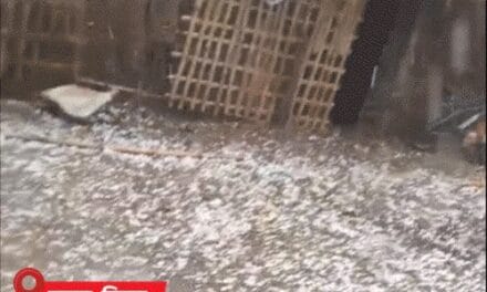 राजस्थान-बंगाल समेत 12 राज्यों में बारिश का अलर्ट:UP-बिहार में घना कोहरा; हिमाचल में 5 दिन से बर्फबारी, उत्तराखंड-सिक्किम में एवलांच का खतरा बढ़ा