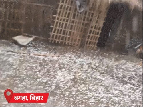राजस्थान-बंगाल समेत 12 राज्यों में बारिश का अलर्ट:UP-बिहार में घना कोहरा; हिमाचल में 5 दिन से बर्फबारी, उत्तराखंड-सिक्किम में एवलांच का खतरा बढ़ा