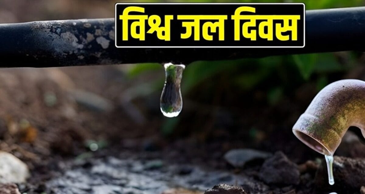फाइलों में 'हर घर जल', पर विदर्भ से बुंदेलखंड तक 'प्यासा' है भारत!