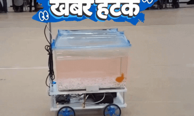 खबर हटके