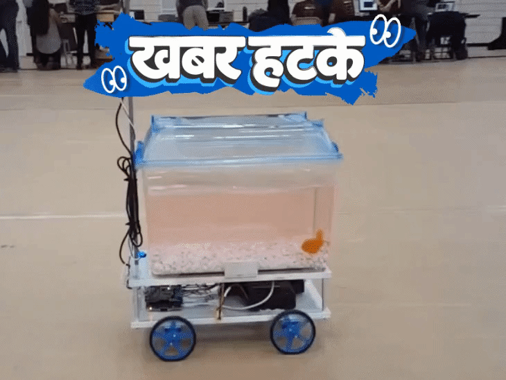 खबर हटके