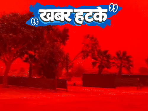 खबर हटके