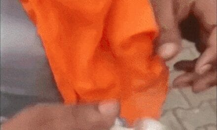 चंडीगढ़ में पंजाब BJP हेडक्वार्टर के बाहर ब्लास्ट:वायरल VIDEO में शख्स ग्रेनेड फेंकते दिखा; खालिस्तानी संगठन ने जिम्मेदारी ली