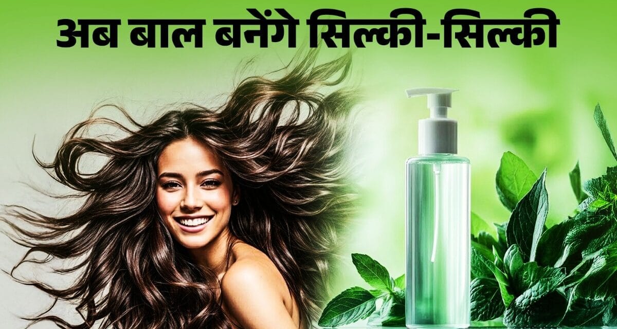 झाड़ू जैसे रूखे बालों से हैं परेशान? घर पर इन 4 चीजों से बनाएं नेचुरल शैंपू