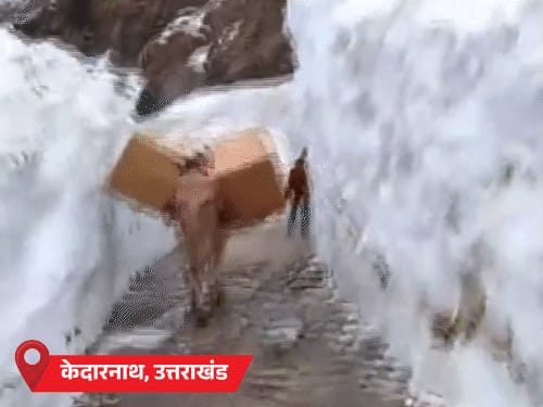 11 राज्यों में बारिश का अलर्ट:MP-राजस्थान में ओले गिर सकते हैं, केदारनाथ में बर्फबारी; यूपी में बिजली गिरने से 5 की मौत