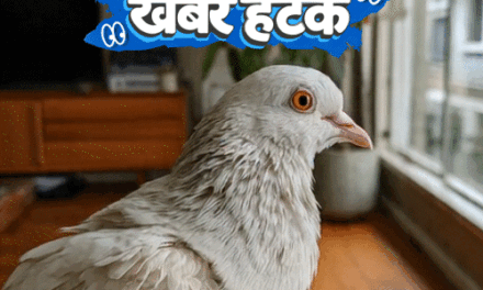 खबर हटके