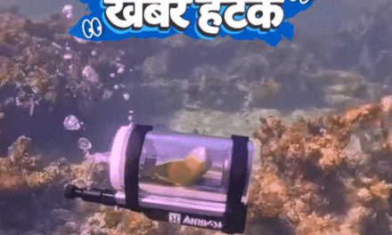 खबर हटके