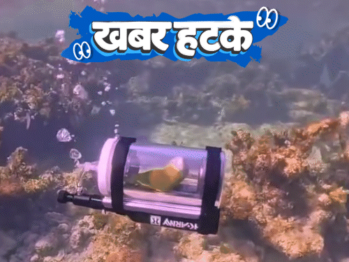खबर हटके
