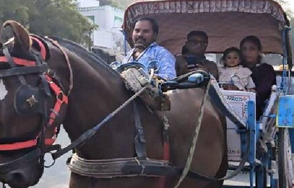 श्रीनगर की सड़कों पर फिर दौड़ लगा रहा तांगा:बुजुर्गों को याद आए बीते दिन, जेन-जी ले रहे सेल्फी और बना रहे रील्स