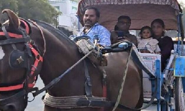 श्रीनगर की सड़कों पर ​फिर दौड़ लगा रहा तांगा:बुजुर्गों को याद आए बीते दिन, जेन-जी ले रहे सेल्फी और बना रहे रील्स