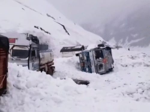 जम्मू-कश्मीर के जोजिला पास में एवलांच:कई गाड़ियां 8 फीट बर्फ में दबीं, एक ड्राइवर भी फंसा; रेस्क्यू जारी, 28 दिन में दूसरी घटना
