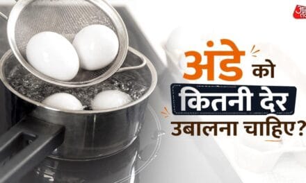6 या 12 मिनट…अंडे को कितनी देर उबालना चाहिए? जानें सही समय और तरीका