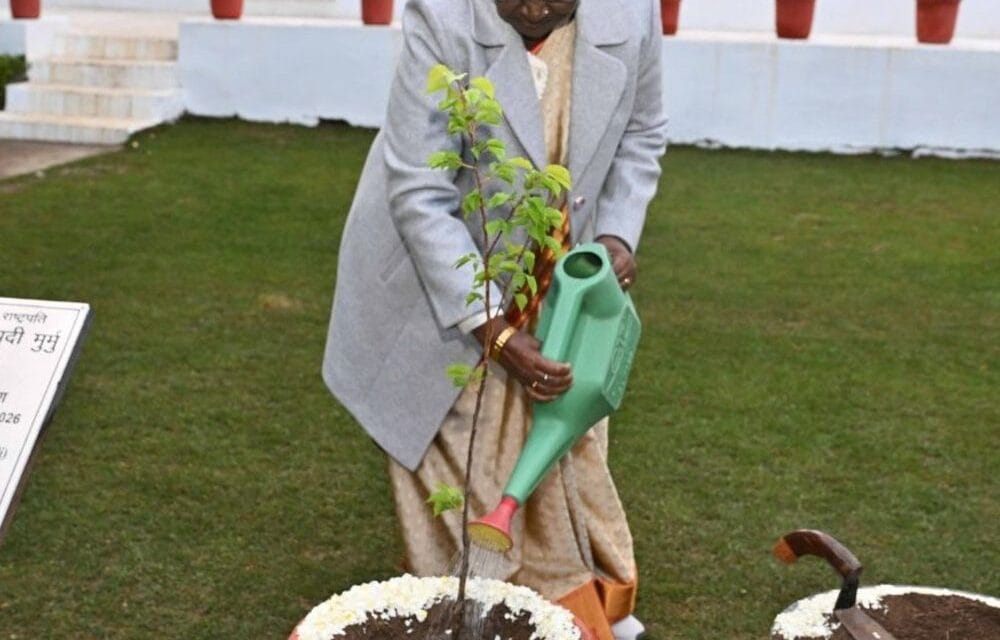 राष्ट्रपति द्रौपदी मुर्मू ने रिट्रीट में खुमानी का पौधा लगाया:व्यवस्थाओं का फीडबैक लिया, कल कृषि विश्वविद्यालय पालमपुर जाएंगी; दीक्षांत समारोह में शिरकत करेंगी