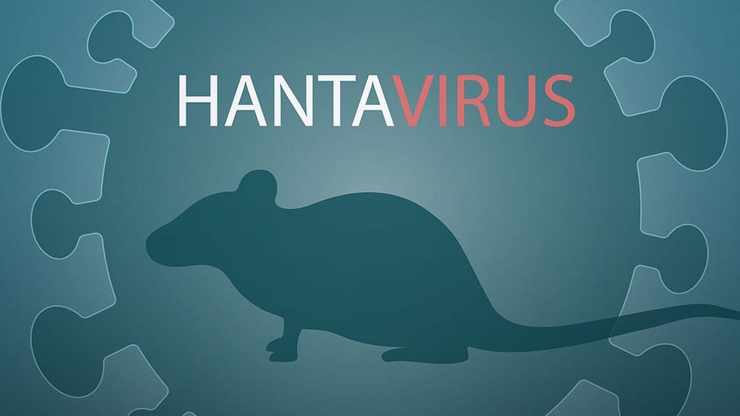 हंतावायरस कितना खतरनाक, फ्लू से कितना अलग? जानें…