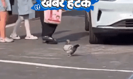 खबर हटके