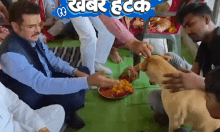 खबर हटके