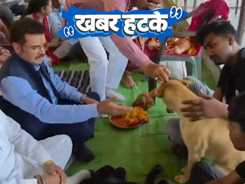 खबर हटके