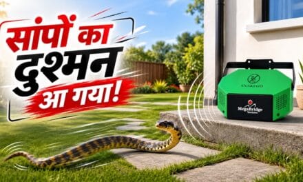 घर के आस पास भी नहीं फटकेंगे सांप, घर में लगा लें ये डिवाइस!