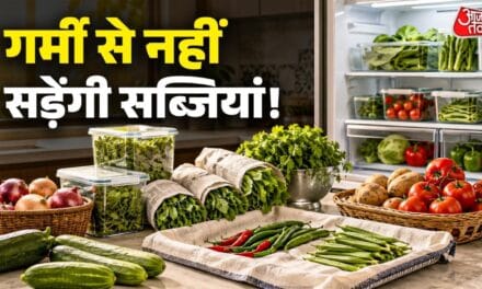 1 गलती से सड़कर बेकार हो जाती हैं सब्जियां, इस तरह हफ्तों तक रखें फ्रेश