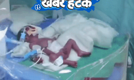 खबर हटके