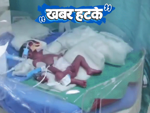 खबर हटके