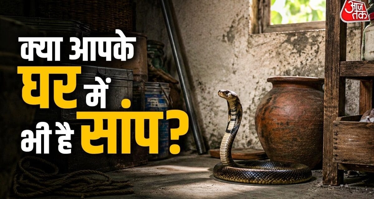 इन 4 गलतियों से घर में आ सकता है सांप, तुरंत करें ये उपाय